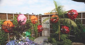 Tatton Park Flower Show