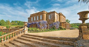 Warner – Cricket St Thomas