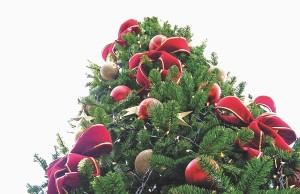 Christmas In Kingston-Upon-Hull